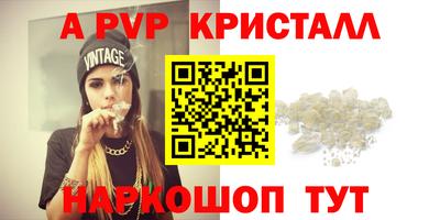 герыч Кингисепп