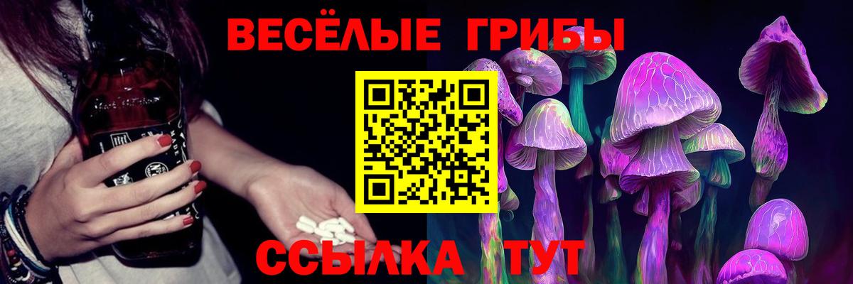 Псилоцибиновые грибы мицелий Красноярск